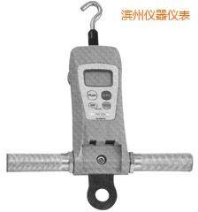 濱州高荷重型 FGC-HB/FGN-HB 系列數(shù)顯推拉力計(jì)