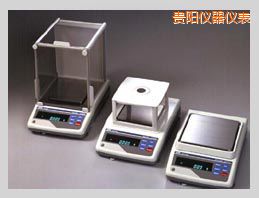 貴陽(yáng)GX系列精密電子天平,410,0.001g