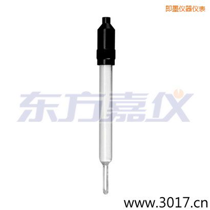 即墨玻璃外殼無溫補兩線電導(dǎo)率電極
