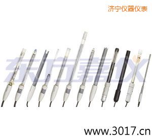 濟(jì)寧pH電極