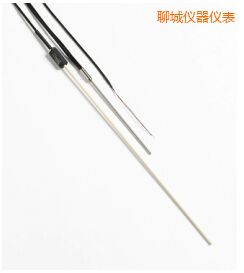 聊城R 型和 S 型標準熱電偶