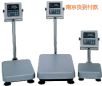 防水臺稱,100kg,10g