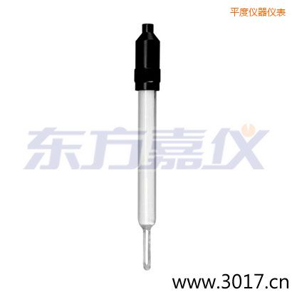 平度玻璃外殼無溫補兩線電導率電極