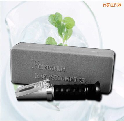 石家莊手持式食鹽/鹽度快速測(cè)定儀