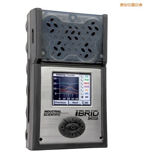 泰安復合式6氣體檢測儀