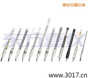 泰安pH電極