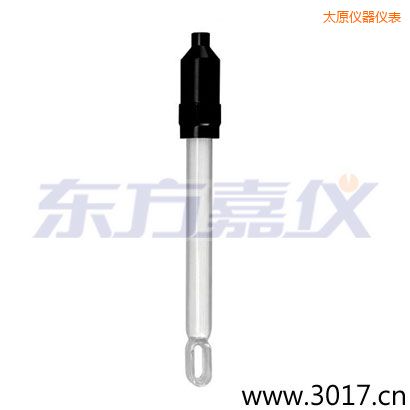 太原無溫補(bǔ)兩線電導(dǎo)率電極