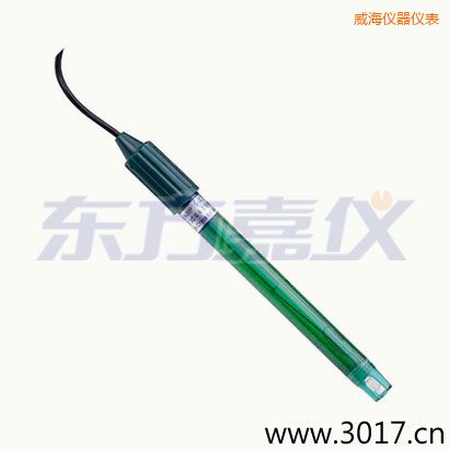 威海PC外殼無溫補(bǔ)復(fù)合電極