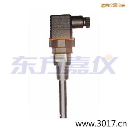 渭南含有溫度的兩線電導(dǎo)率電極