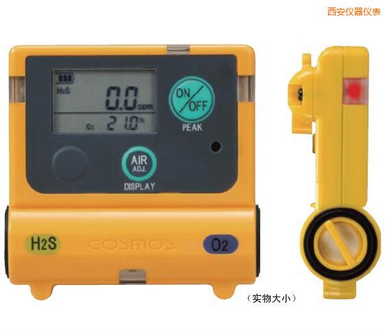 西安復(fù)合型氣體檢測器