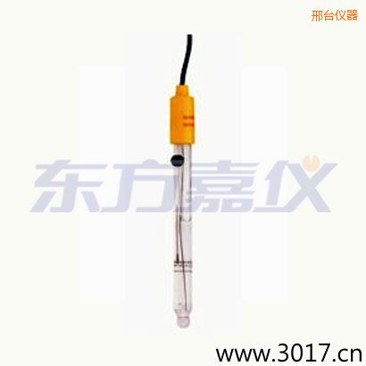 邢臺(tái)可填充玻璃管電極